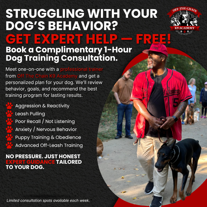 Off the Chain Free Consultation Popup final