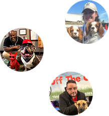 Dog trainers and happy dogs at Off The Chain K9 Academy, showcasing professional dog care and training services in a friendly environment.