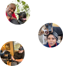 Smiling dog owners interacting with their dogs, showcasing the caring environment of Off The Chain K9 Academy's dog boarding services in Woodstock, GA.