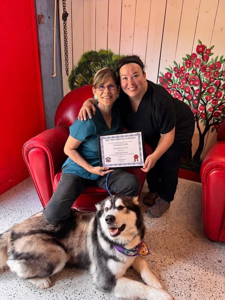 Two people sit on a red chair holding a certificate from a dog grooming training school, with a large bandana-wearing dog sitting on the floor in front of them and a painted flower mural behind.