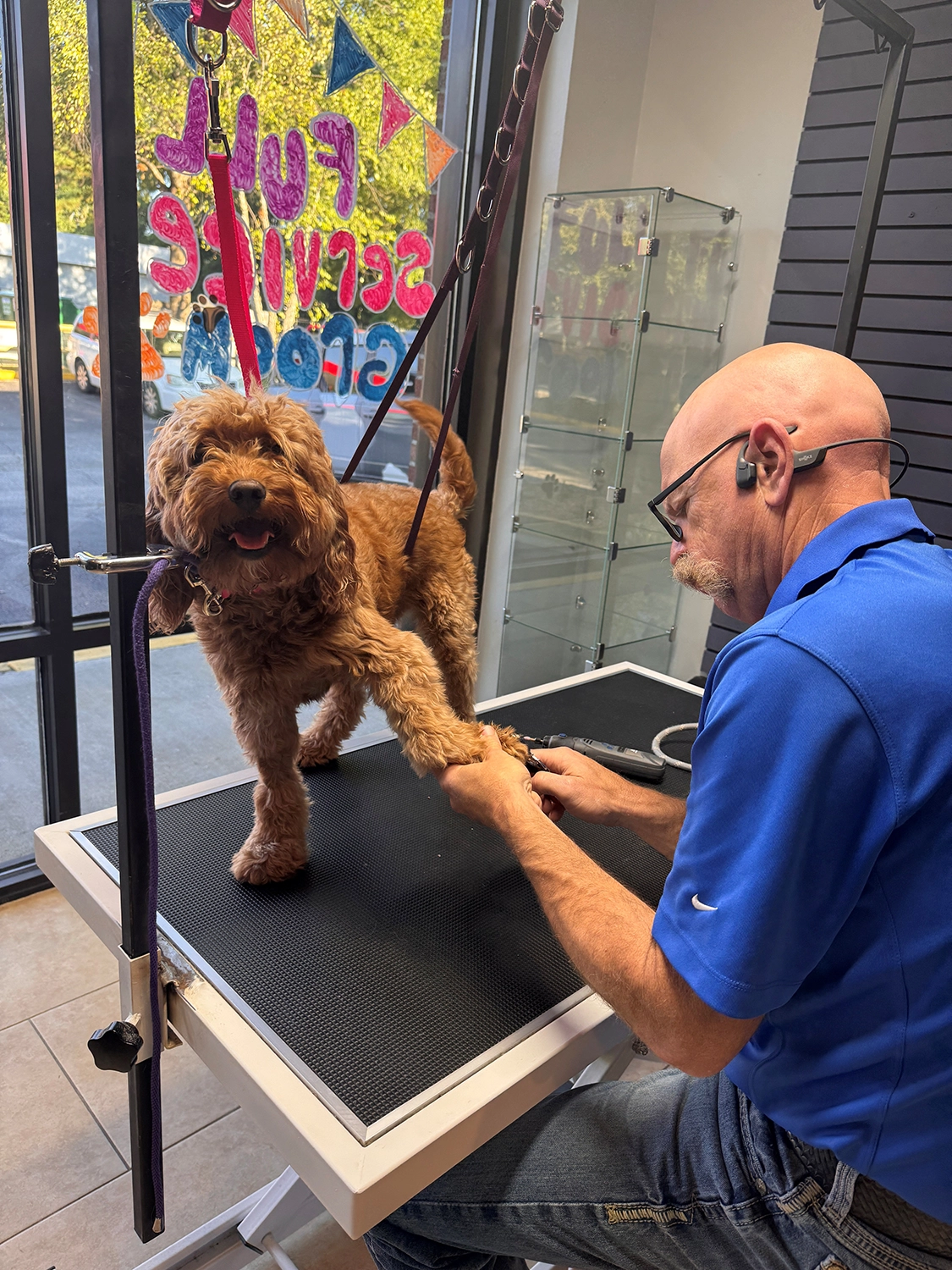 Dog Grooming 4 Dog being groomed by a professional in a dog grooming salon, with a focus on nail trimming, bright window with "Full Service Grooming" sign, and a calm atmosphere.