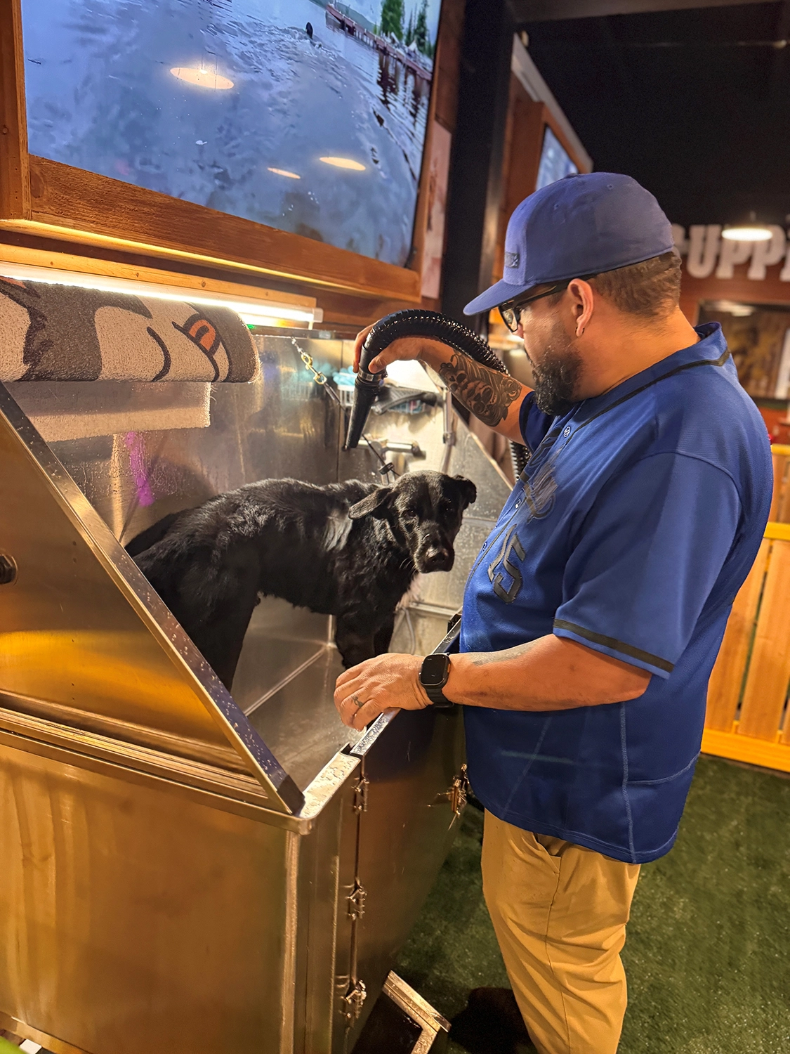 Dog Grooming 3 Dog grooming session at Off The Chain K9 Academy, groomer using a drying tool on a black dog in a stainless steel tub, calming environment with a TV in the background.