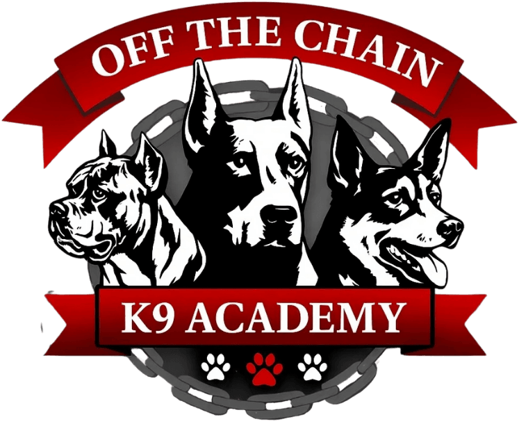 Logo for "Off The Chain K9 Academy" featuring illustrations of three different dog breeds, a red ribbon, a chain background, and paw prints at the footer. Perfect for Eduversita's professional canine training programs.