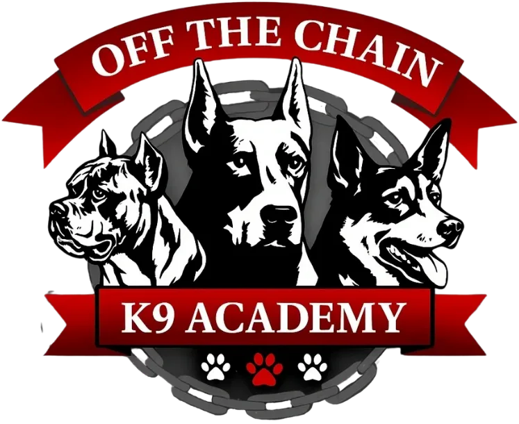 Logo for "Off The Chain K9 Academy" featuring illustrations of three different dog breeds, a red ribbon, a chain background, and paw prints at the footer. Perfect for Eduversita's professional canine training programs.