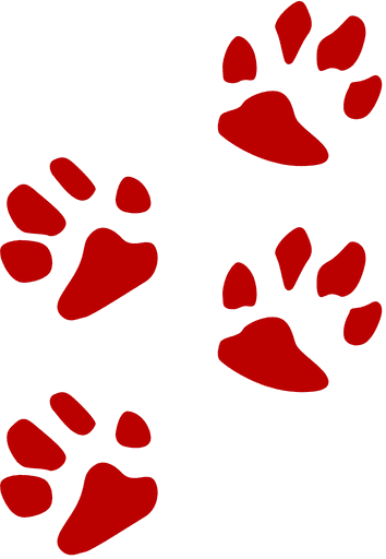 Red paw prints symbolizing dogs, highlighting the dog boarding services at Off The Chain K9 Academy focused on structured care and supervision.