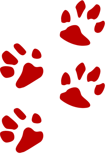 Four red animal paw prints are spaced diagonally across a light gray background.