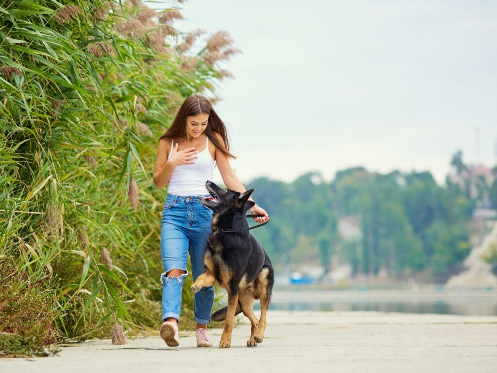Woman walking a German Shepherd dog along a path, demonstrating in-home dog training and companionship.