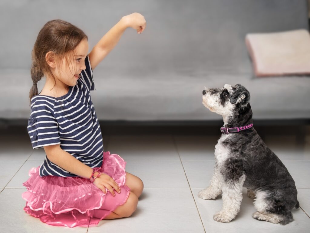 Girl training a dog with positive reinforcement, sitting on the floor, holding a treat, demonstrating effective dog training techniques.
