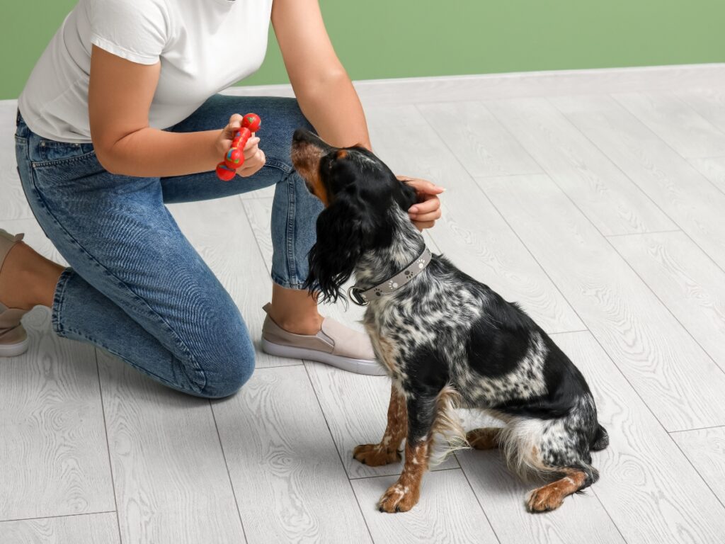 Person kneeling with a red toy engaging a dog, demonstrating lure-and-reward training technique in a home setting.