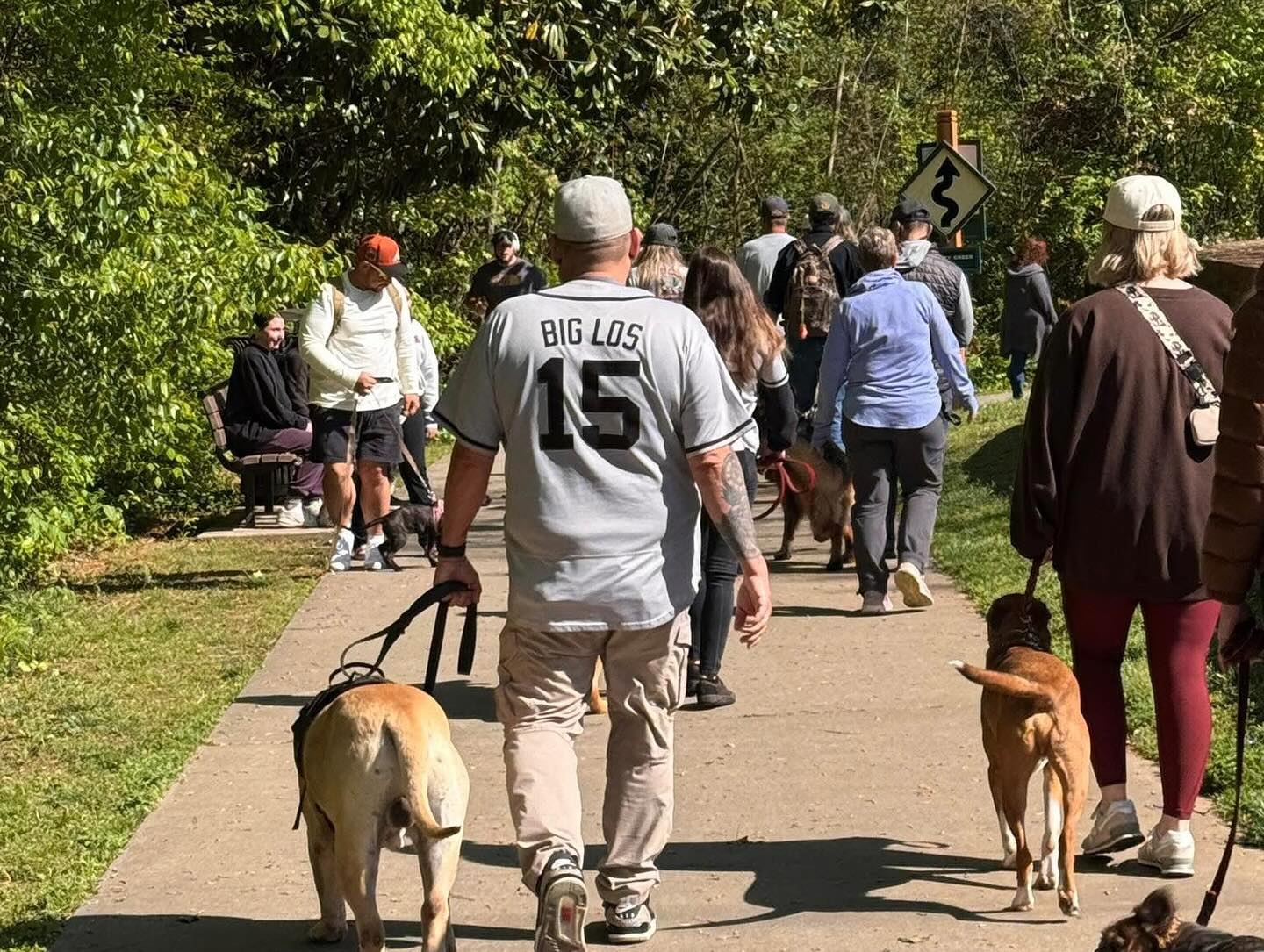 A group of people walk dogs along a tree-lined park path on a sunny day; one person wears a &ldquo;BIG LOS 15&rdquo; jersey.