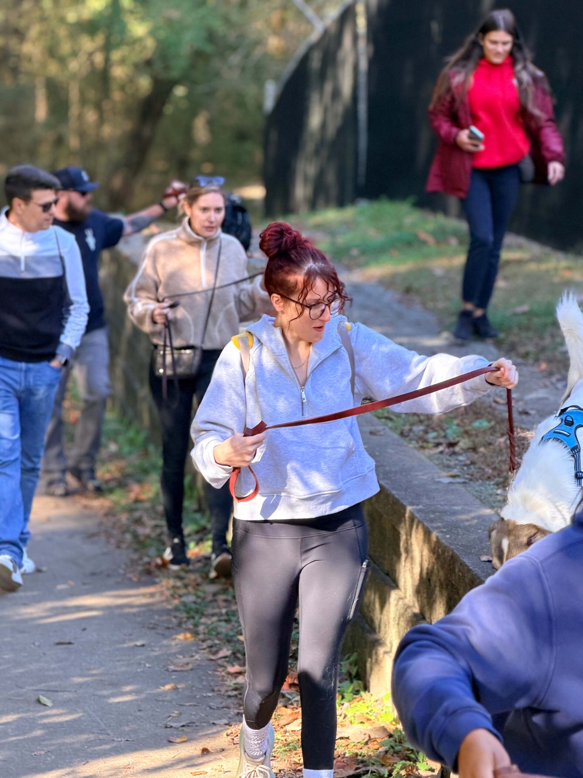 About 6 Group of dog owners participating in a training session at Off The Chain K9 Academy, walking along a wooded path with dogs on leashes, emphasizing structured dog training and responsible ownership.