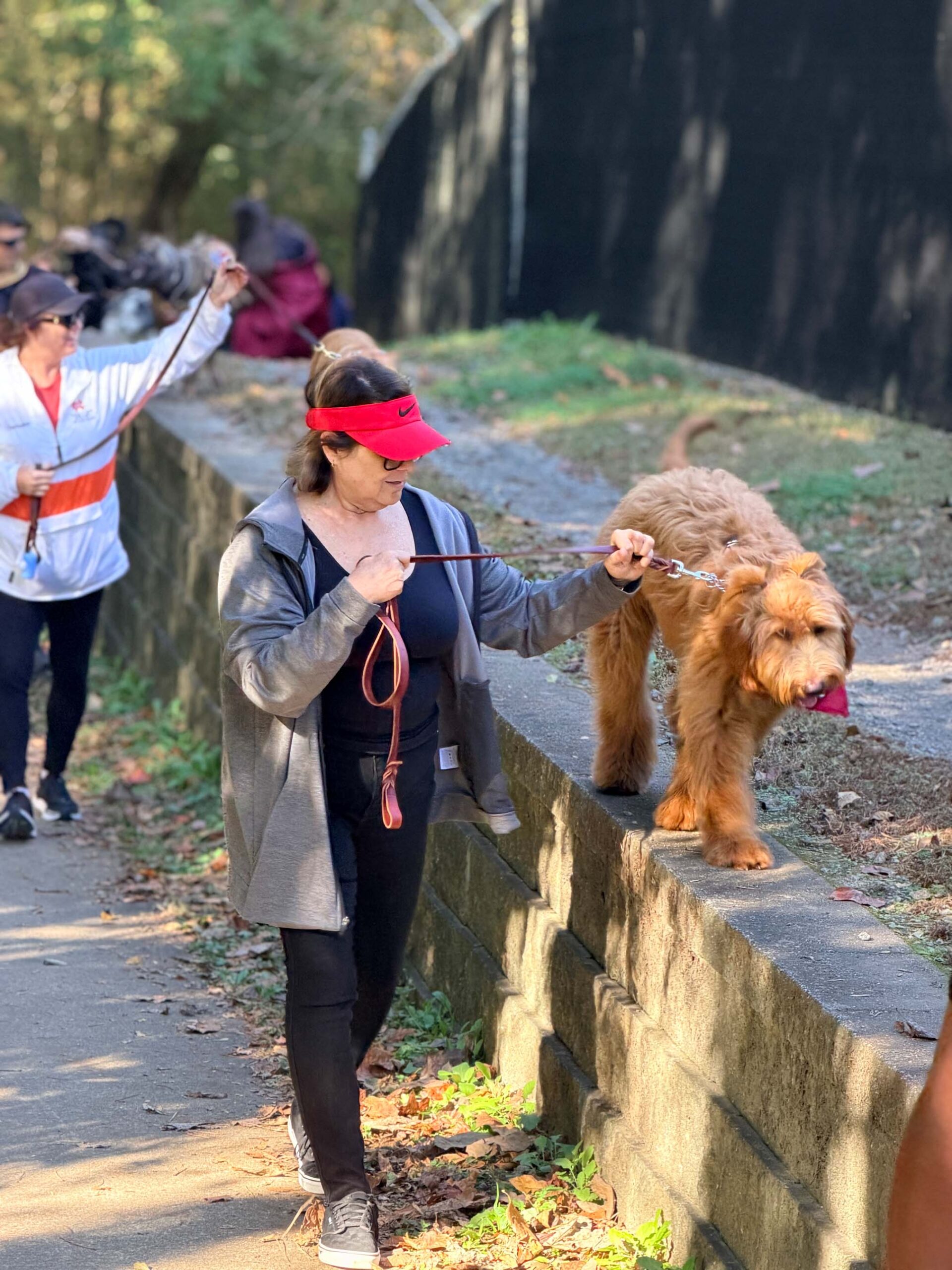 Woman walking a dog on a leash along a path, showcasing dog training techniques in a group setting, with other dog owners in the background, emphasizing the community aspect of OTCK9 Academy's training programs.