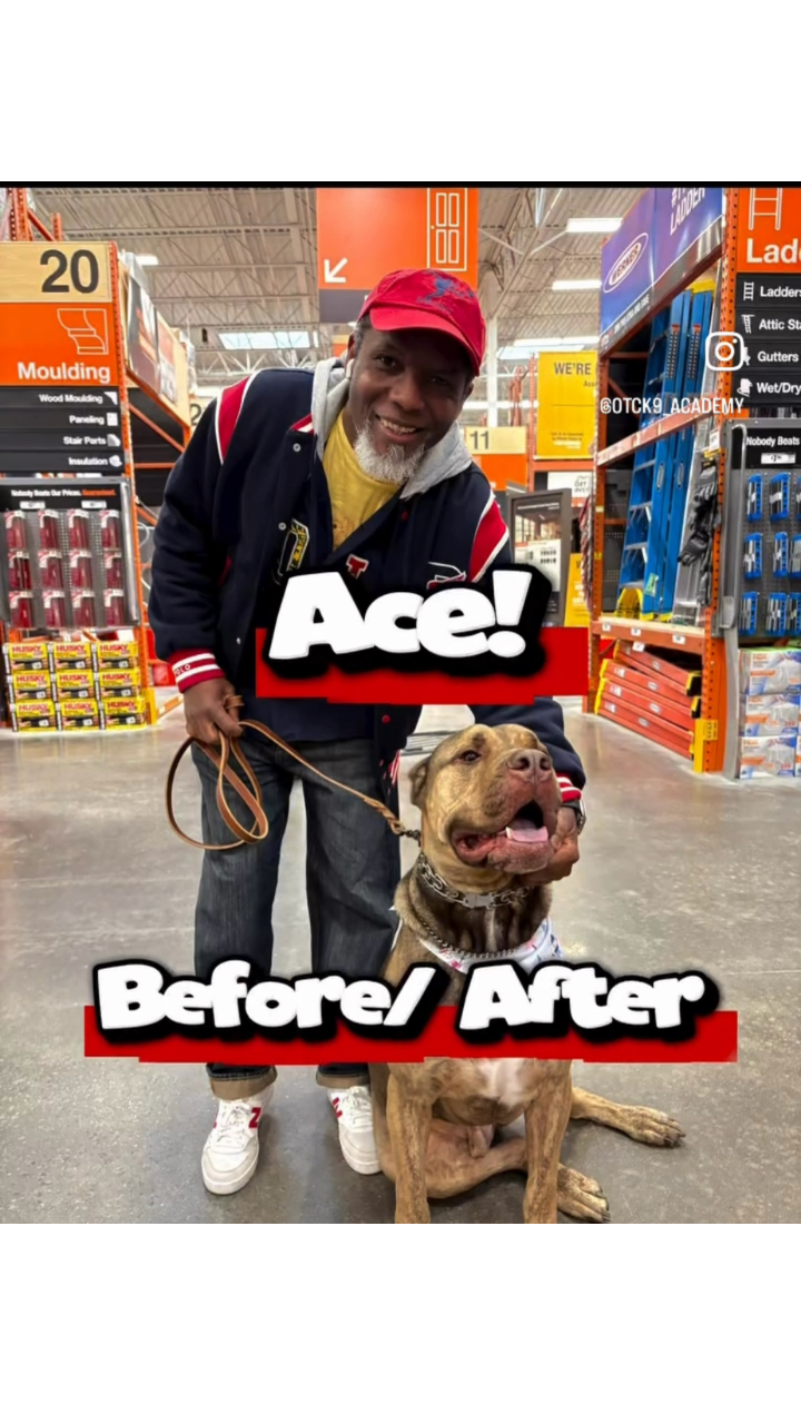 Man smiling with dog named Ace in Home Depot, showcasing behavior modification success with "Before/After" text.