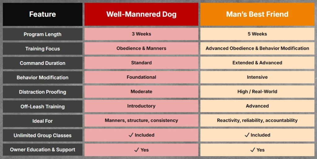 Dog Board and Train Program 5 Comparison chart highlights two dog training programs: "Well-Mannered Dog" (3 weeks, basic obedience) and "Man's Best Friend" (5 weeks, advanced training and behavior modification). Choose the right program for your dog's needs.