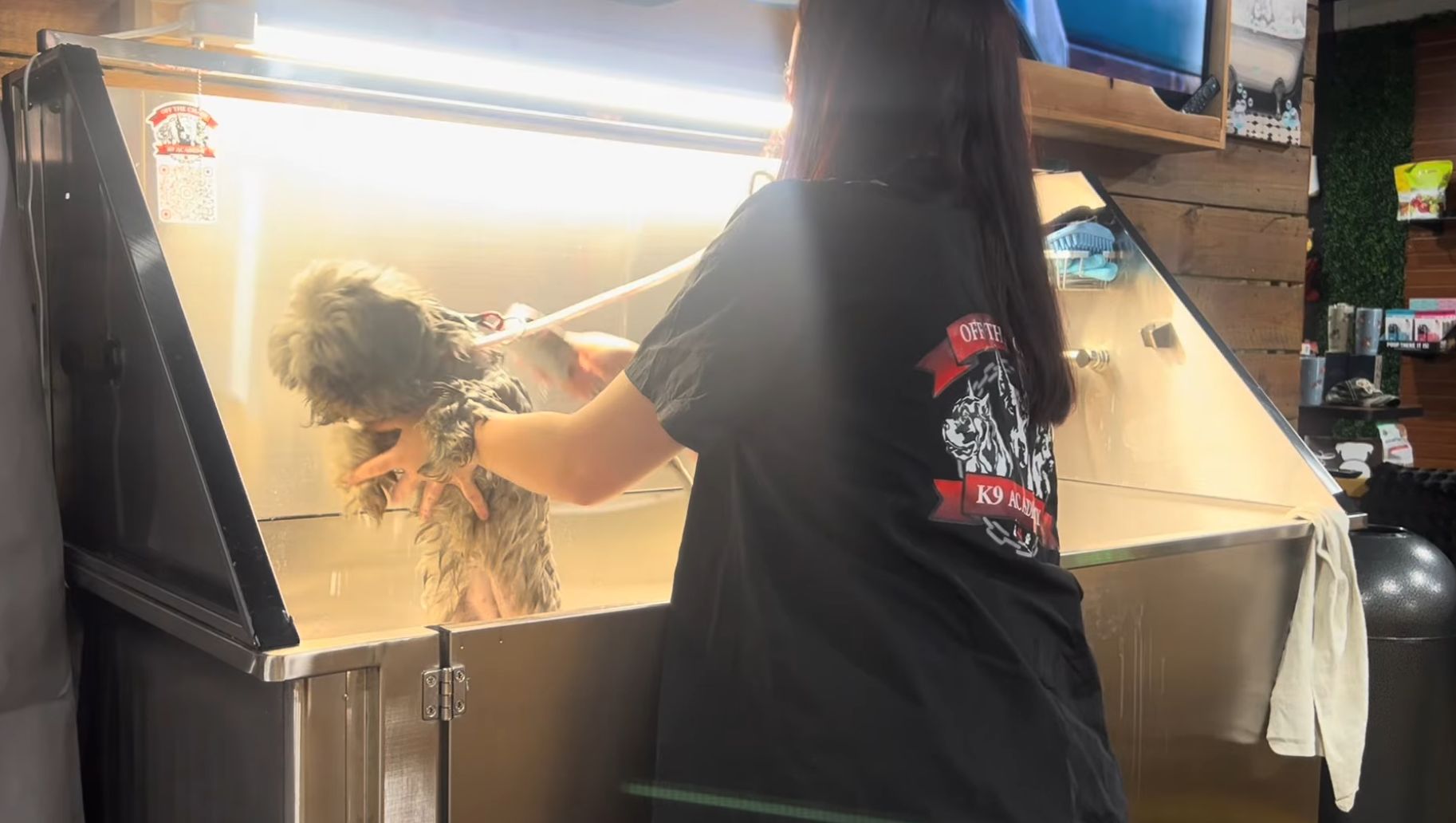 A person bathes a small dog in a stainless steel wash station under bright lights at a pet grooming facility, showcasing skills gained through Dog Grooming Certification in Woodstock GA.