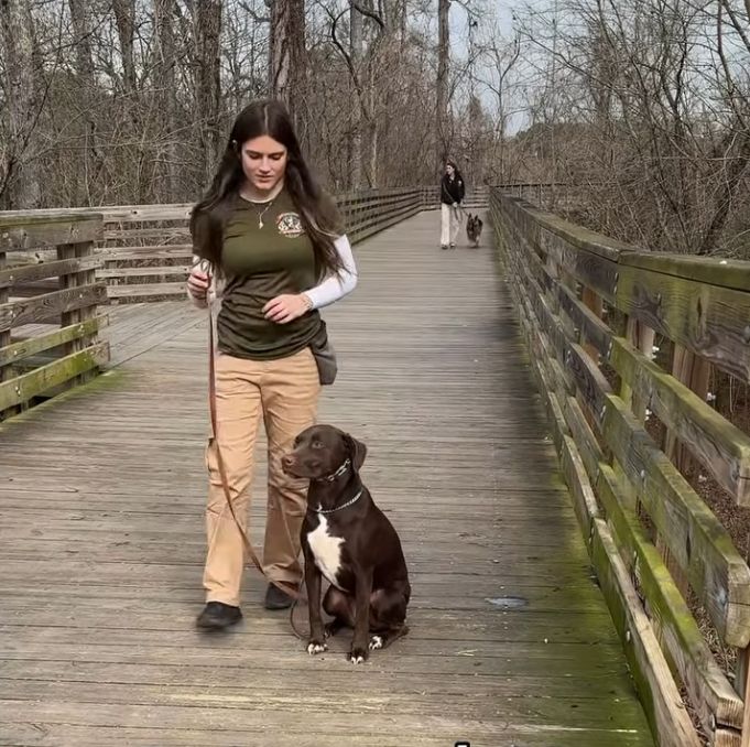 A woman with Dog Trainer Certification walks a brown dog on a wooden boardwalk while another person with a dog follows behind; trees line both sides of the path.
