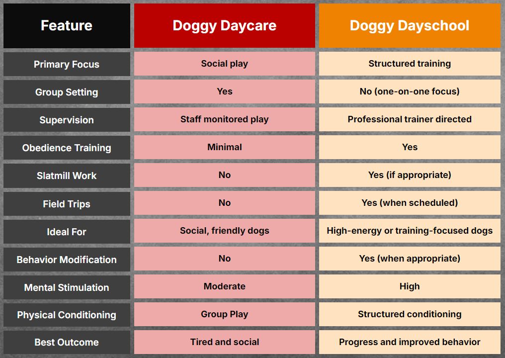 Doggy Day School 4 Doggy Dayschool comparison chart highlighting structured training, supervision by professional trainers, obedience training, and features tailored for high-energy dogs.