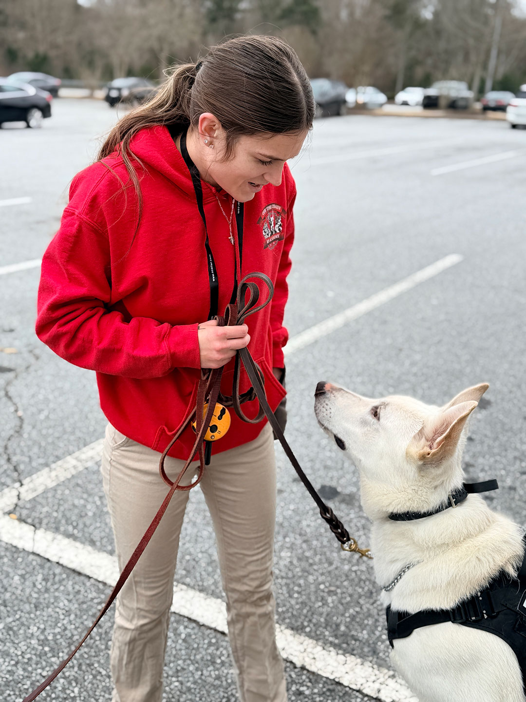 Young woman in red hoodie interacting with a white dog on a leash, showcasing hands-on training skills in a parking lot, relevant to professional dog trainer certification program at Off The Chain K9 Academy.