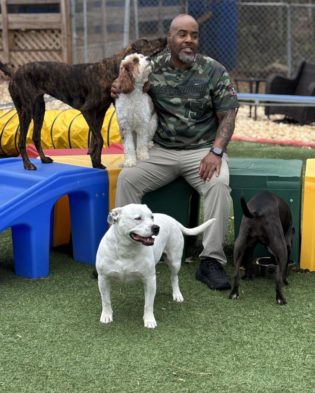 Man sitting on playground equipment in a dog daycare, surrounded by four dogs of various breeds, emphasizing supervised social interaction and a safe environment at Off The Chain K9 Academy.