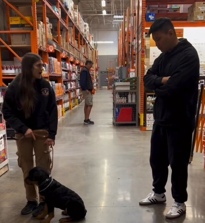 Dog Board and Train Program 4 A woman with a dog on a leash stands facing a man with crossed arms in a hardware store aisle, discussing store programs; another person shops in the background.