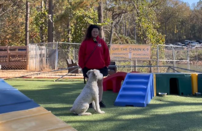 Doggy Daycare 5 Woman in red sweatshirt training a puppy in a dog training facility with agility equipment and "OFF THE CHAIN K-9" sign visible.