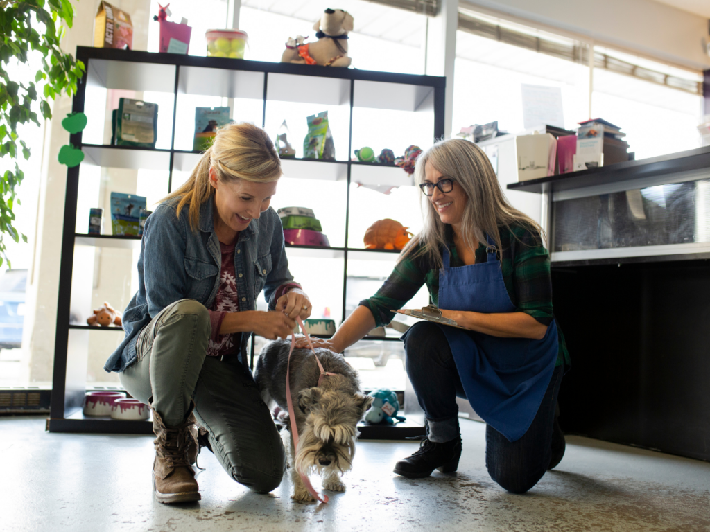 dog daycare activities 5