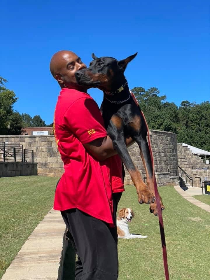 Dog Board and Train Program 1 Person holding a Doberman dog.