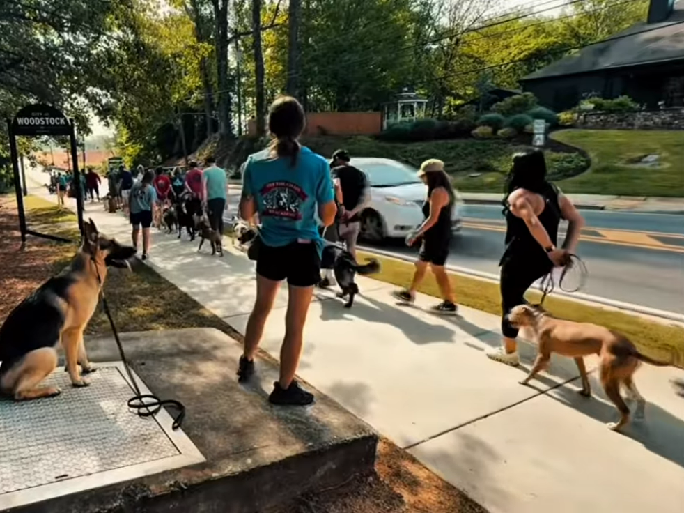 52 OTCK9 Pack Walk YouTube 04 23 2026 02 05 PM