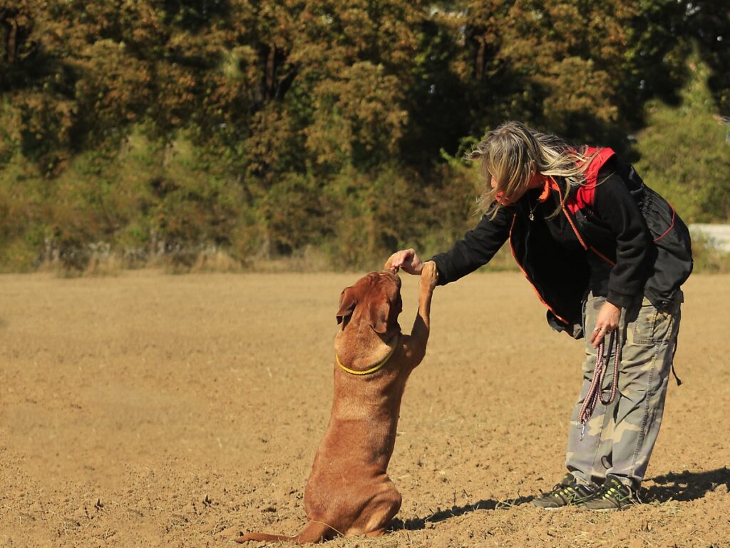Behavior Modification Anxiety Tips for Calmer Dogs 3 behavior modification anxiety 2