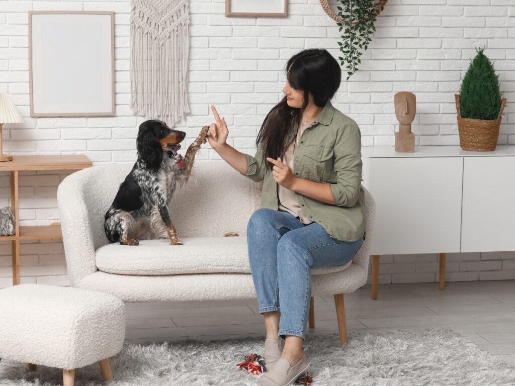 Behavior Modification Anxiety Tips for Calmer Dogs 4 behavior modification anxiety 3