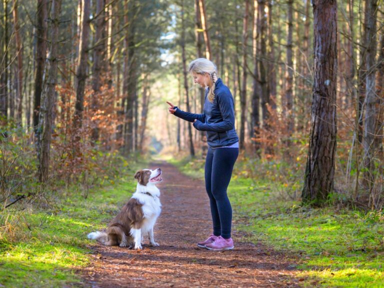 behavior modification anxiety