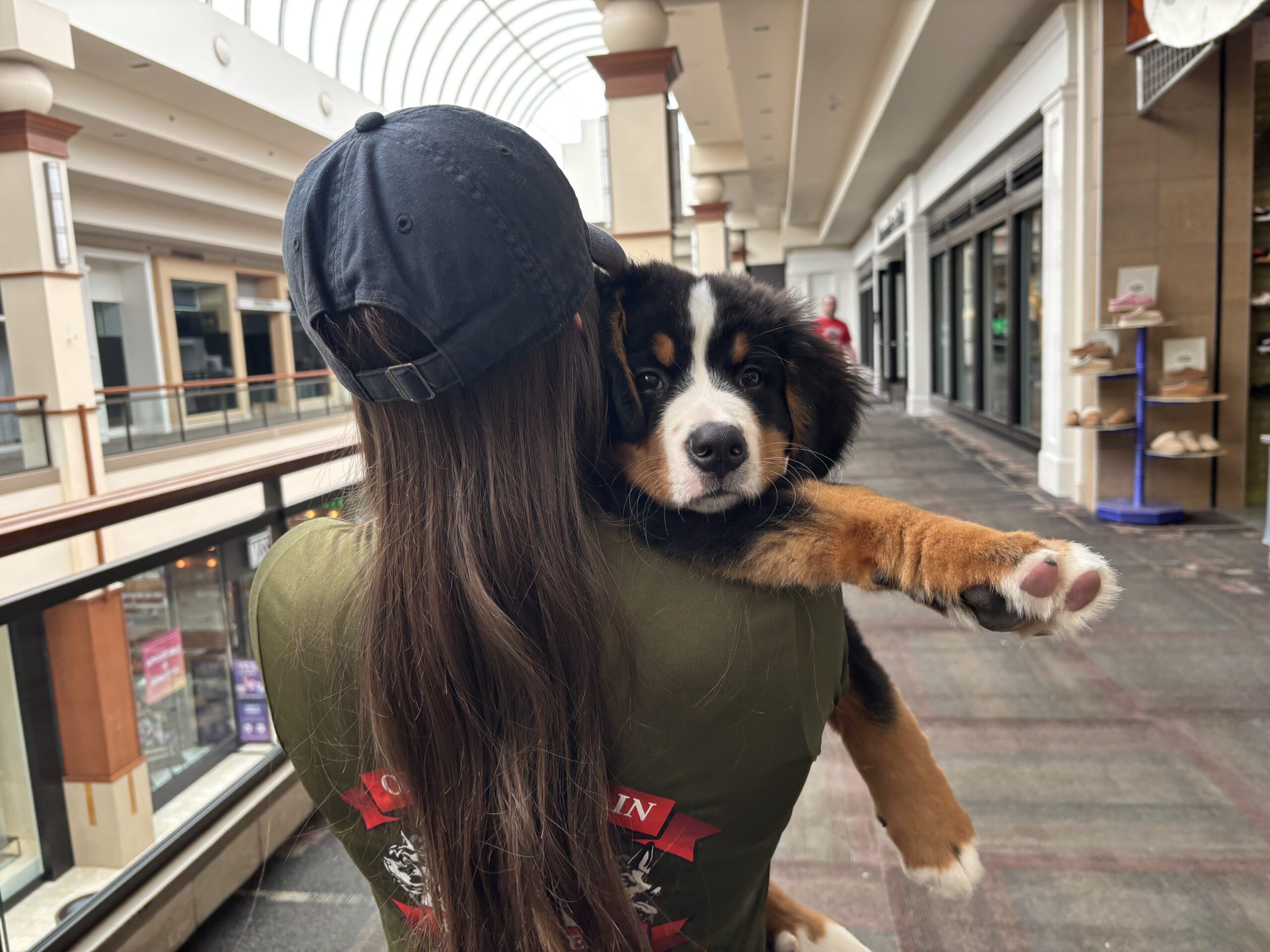 max puppy picture scaled